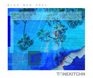 Loopmasters blue neo soul 300x250