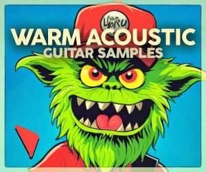 Loopmasters dabromusic warm acoustic 300x250
