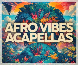 Loopmasters dabro music afro vibes 300x250