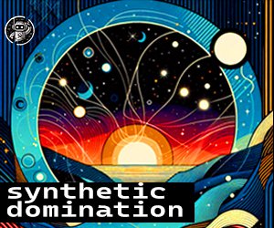 Loopmasters sd zt synthetic domination 300x250