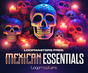 Loopmasters me banner 300