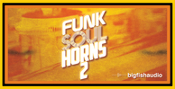 Funksoulhorns2512