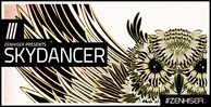 Skydancer banner