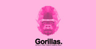 Gorillas 1000x512