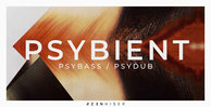 Psybient bannerweb