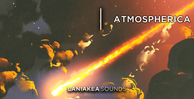 Ls a1 banner