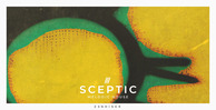 Zenhiser sceptic melodic house banner artwork