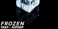 Function loops frozen trap   hip hop banner