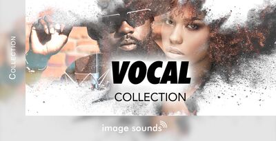 Vocal collection banner