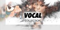 Vocal collection banner