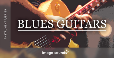 Blues guitars banner loopmasters