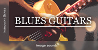 Blues guitars banner loopmasters