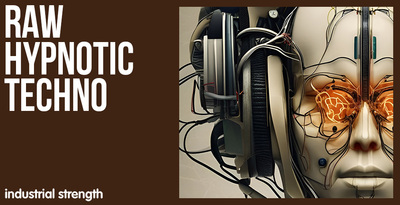 Raw hypnotic techno 512 loopmasters