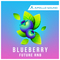 Blueberry future rnb 1x1