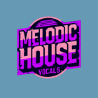 Undrgrnd sounds melodic house vocals cover