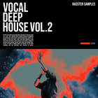 Rasster samples vocal deep house volume 2 cover