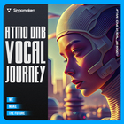 Singomakers atmo dnb vocal journey cover