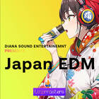 Royalty free edm samples  j edm samples  edm drum loops  japan edm synth loops  vibrant vocals  edm vocals  japan edm guitar loops at loopmasters.com