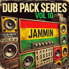 Renegade audio dub pack series volume 10 jammin cover