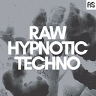 Ass049 raw hypnotic techno 1000 loopmasters